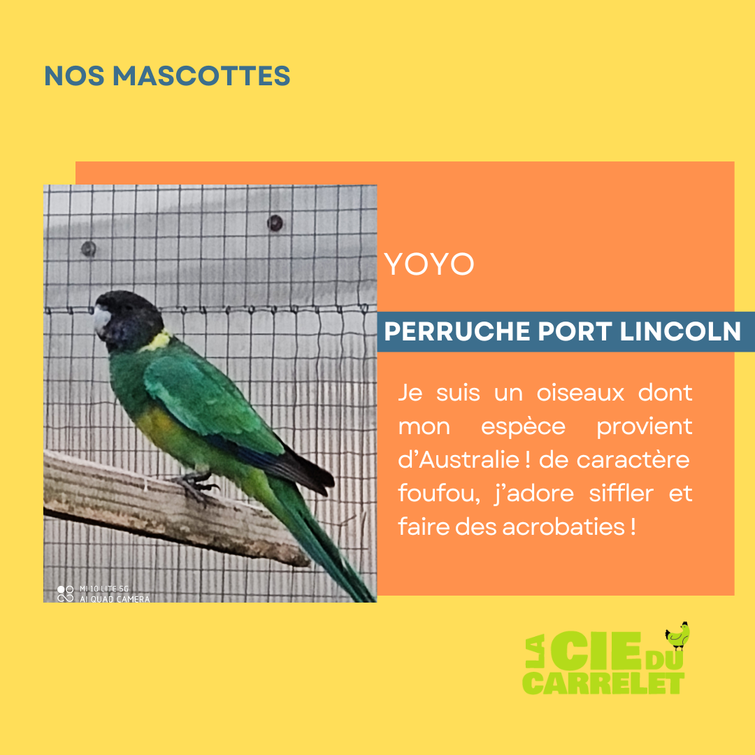 Portrait de Vanille