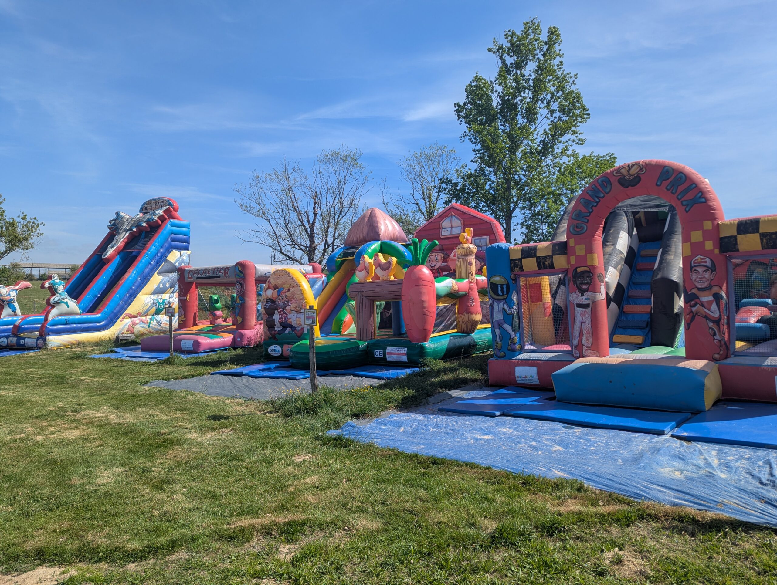 Aires de jeu pour enfant avec châteaux gonflables animaux